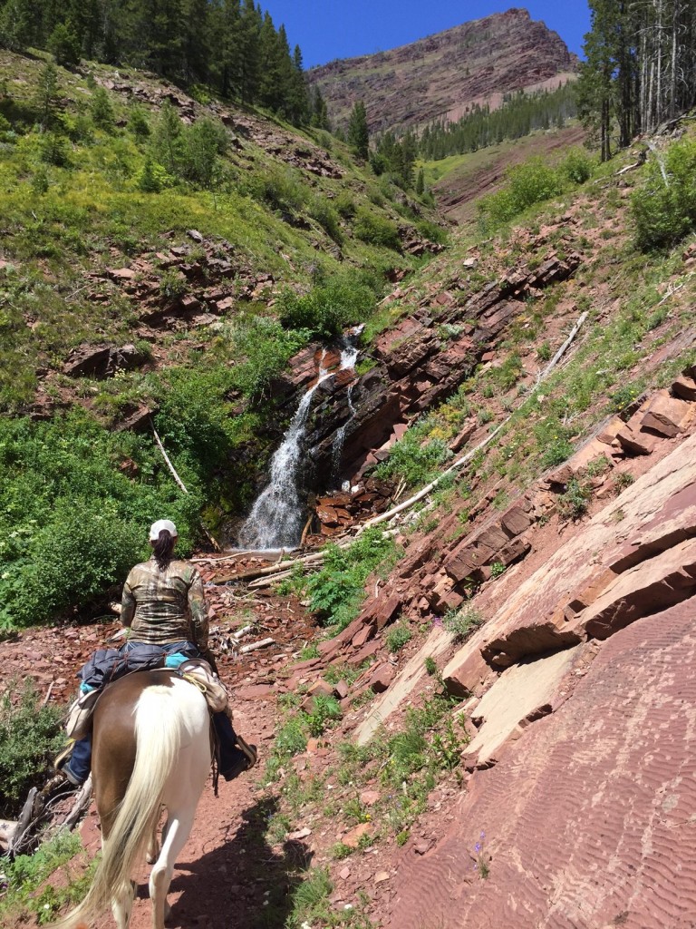 Amy and Hawk leading our group up the trail. 