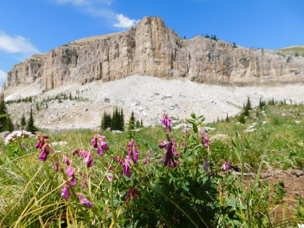 A Pack Trip in Montana’s Bob Marshall Wilderness: Part Two