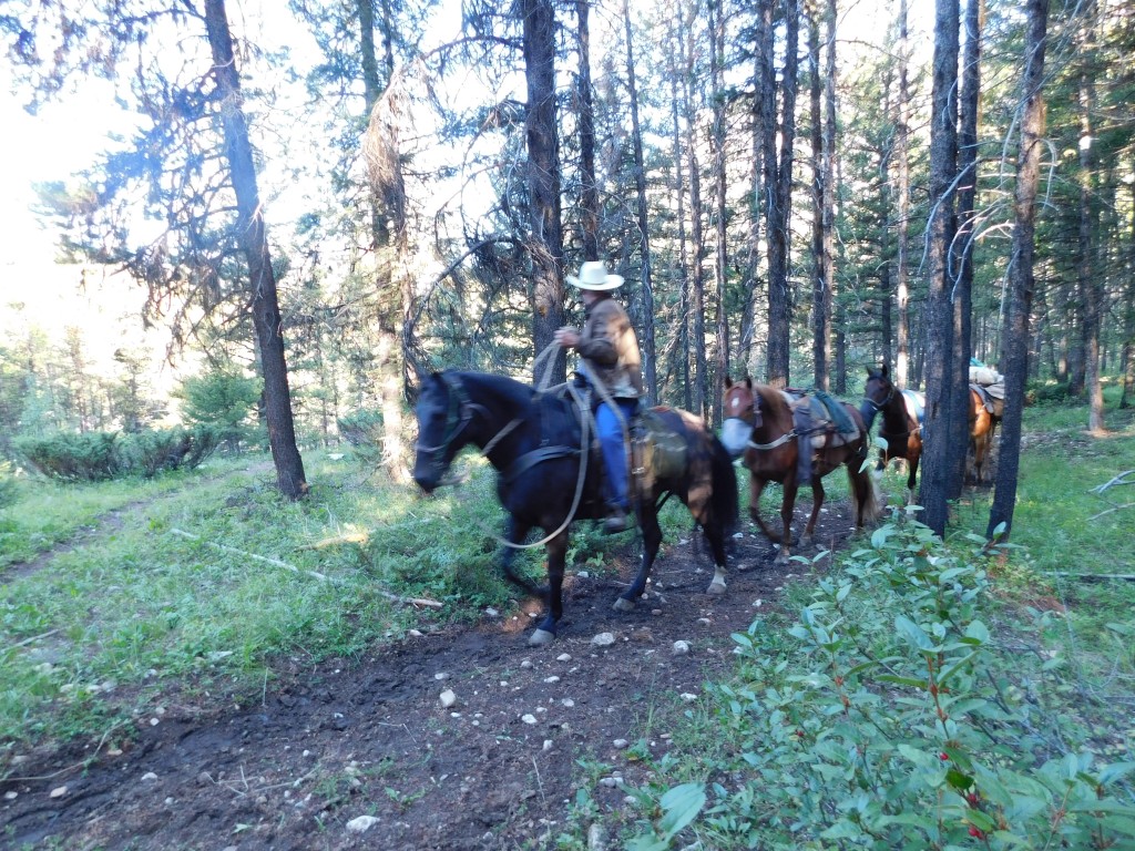 Bob leading his team. 