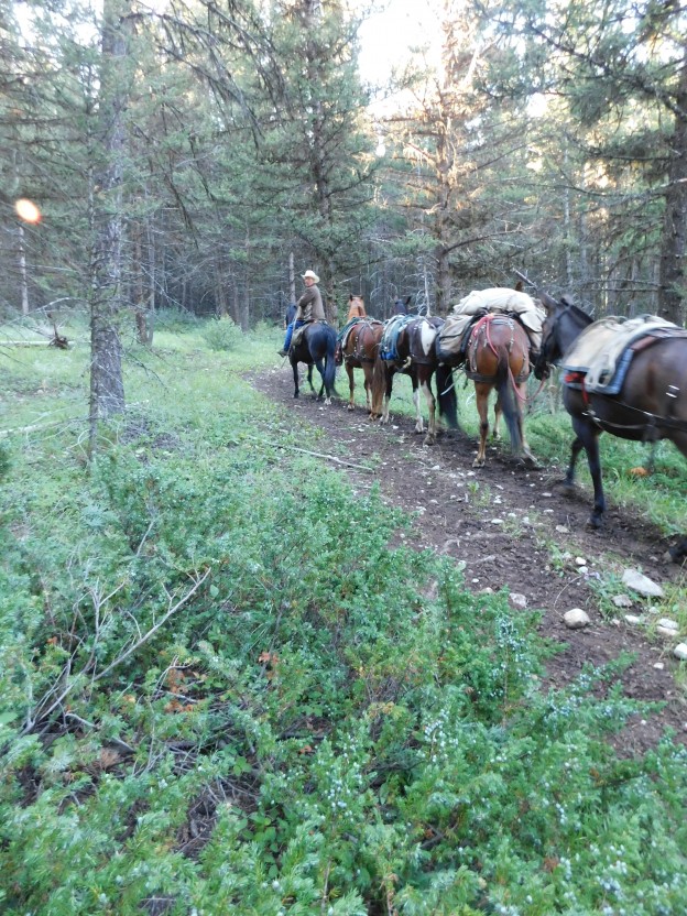 A Pack Trip In Montana’s Bob Marshall Wilderness: Part Two | The ...