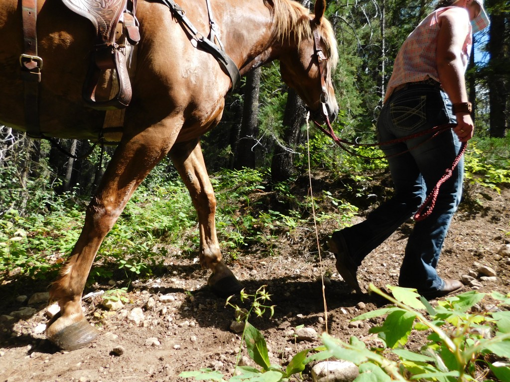 Heading back up to camp. 