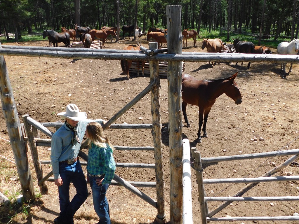 Hanging out with the horses AKA the perfect companions. 