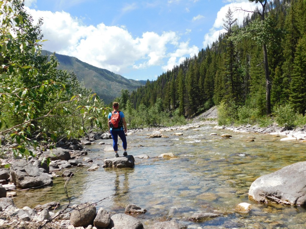 PSA: I love riding horses...but you don't have to be a horseman to enjoy the Bob Marshall Wilderness. Its trails are also perfect for hiking. 