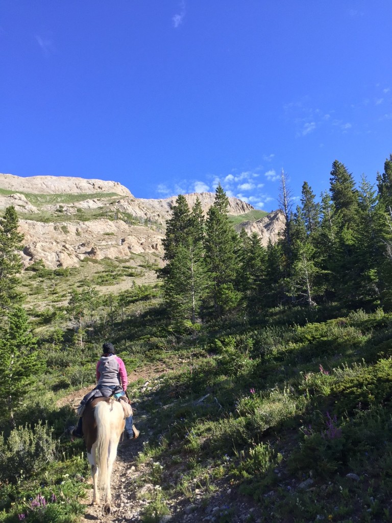 By 9 a.m., we were climbing up the Continental Divide toward White River Pass. 