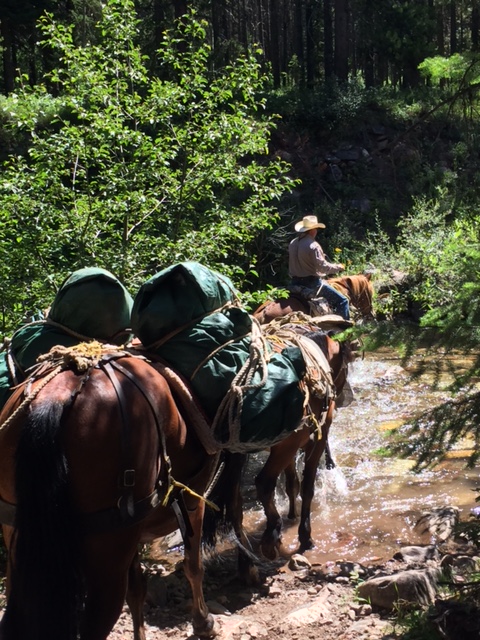 Horse Packing and Fly Fishing Trip Prices and Schedules  A Lazy H Horse  pack trip schedule for Montana's Bob Marshall Wilderness trips; dry fly  fishing, camping, horseback riding, wildlife viewing, stargazing