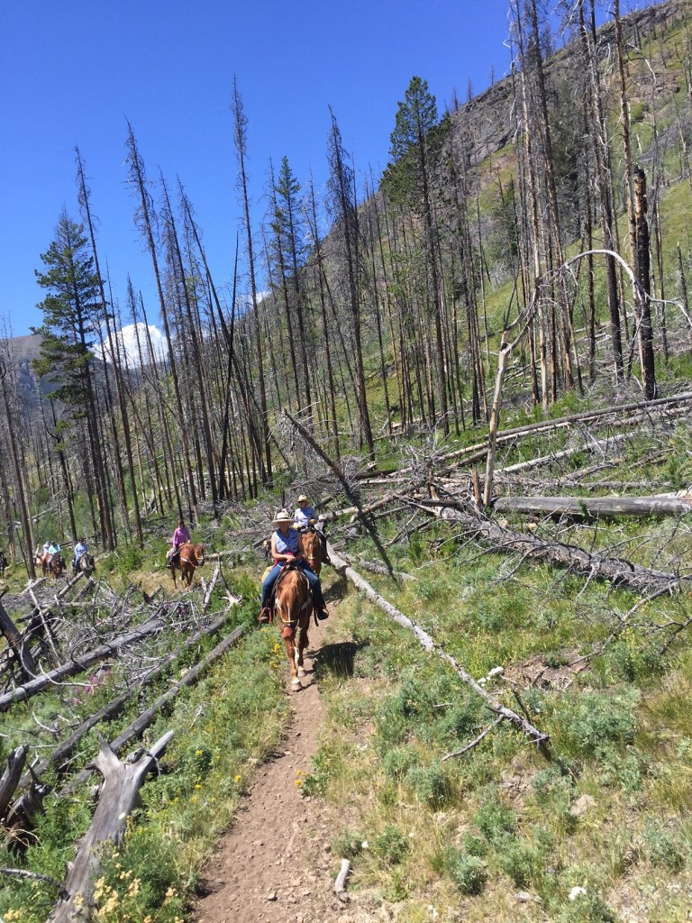 Getting closer! At this point, we were about 2 hours away from the trailhead and our rear ends were feeling it. 