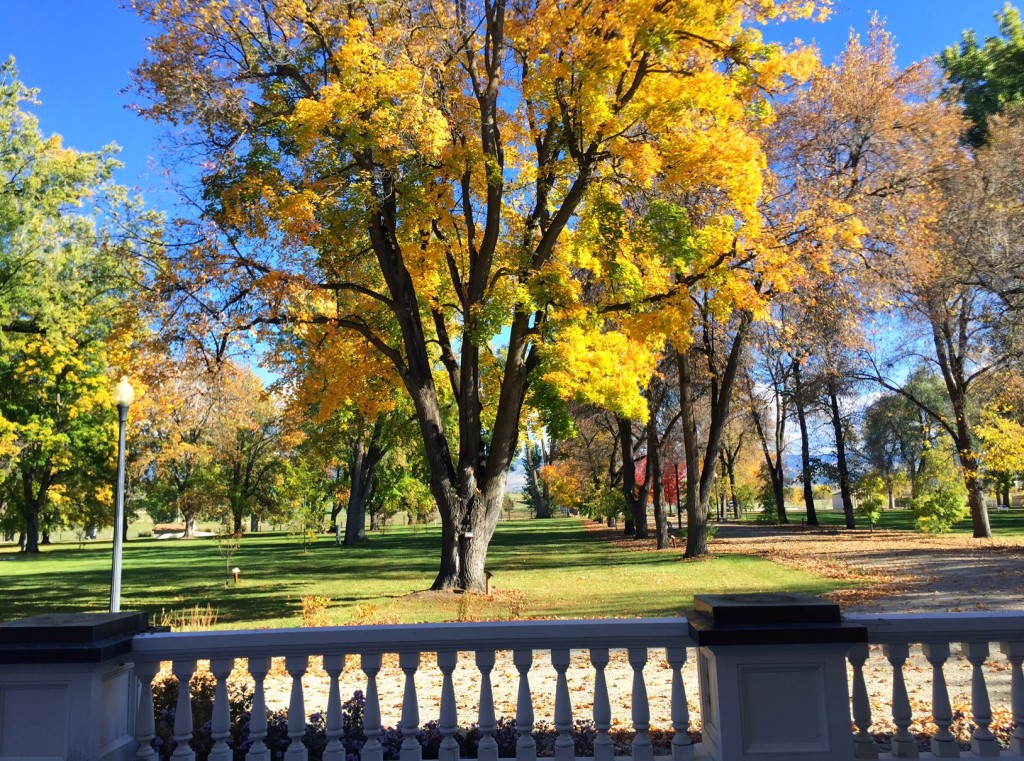 The view of the grounds from the front porch of the Daly Mansion. 