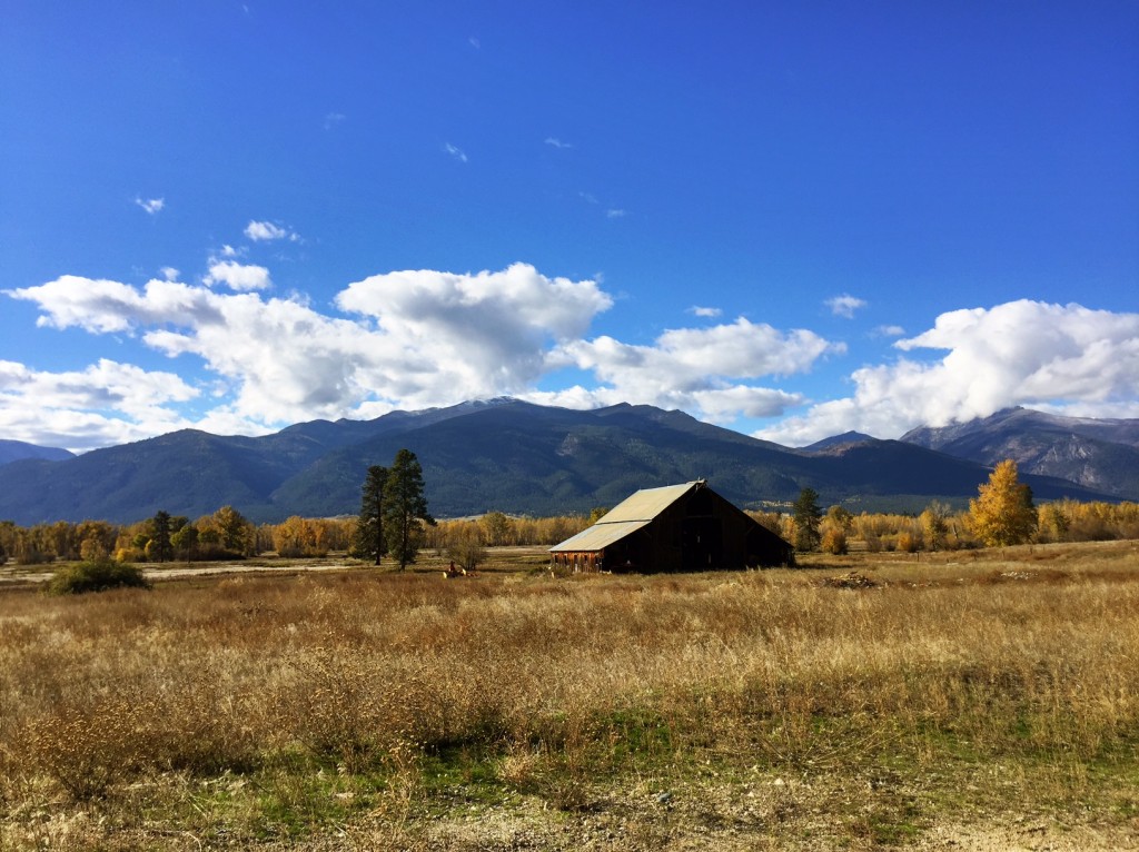 No matter how many times I see a barn in Montana's countryside, it warms my heart. 