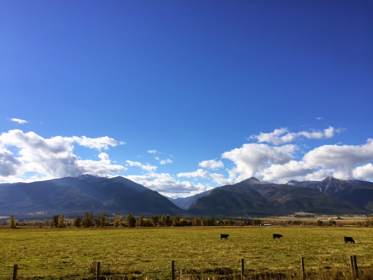 Fall in Montana Exploring the Bitterroot Valley Glacier Country