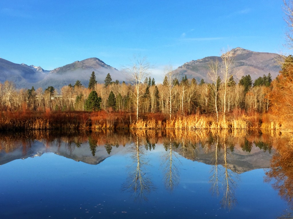 A perfect fall scene of the Bitterroot Mountains in Hamilton. 