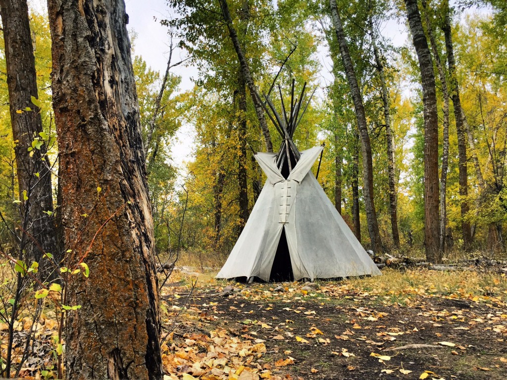 Fall at Travelers' Rest State Park. My traveling friend and I (see previous photo) were the only ones there. 