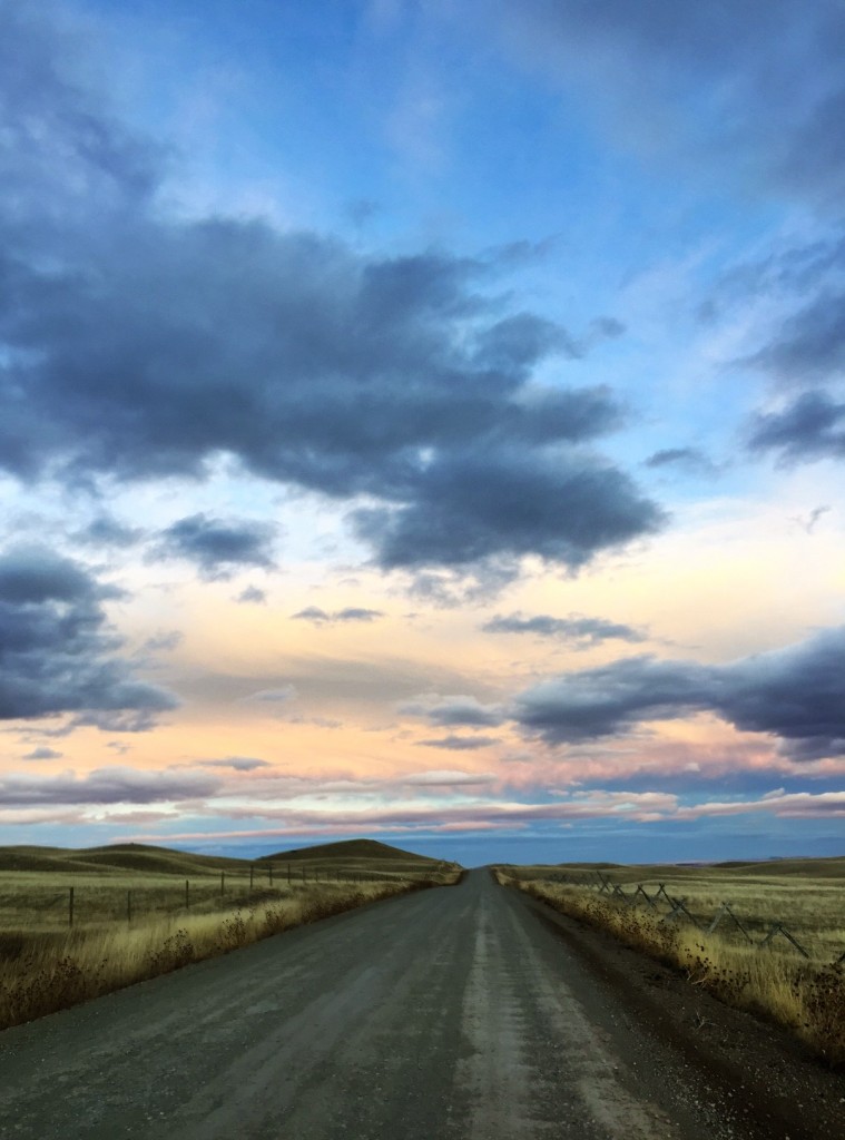The landscape seemed endless, even for this local Montana girl. 