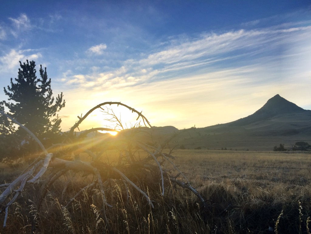 My baby brother, niece and I drove out to watch the sun set behind Haystack Butte. 