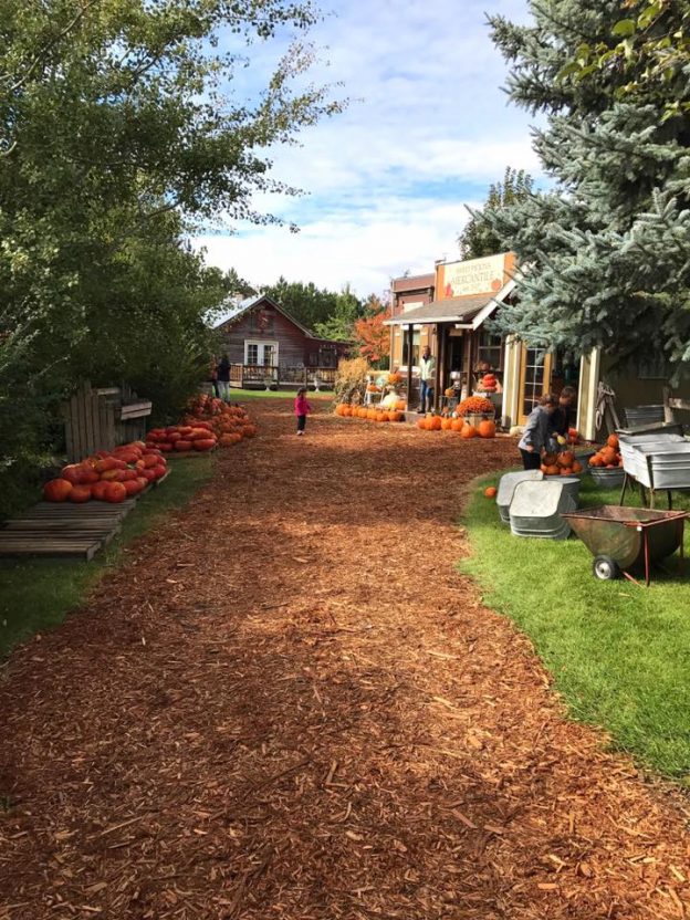 Fall Family Fun: Montana’s Harvest Traditions + Halloween Happenings
