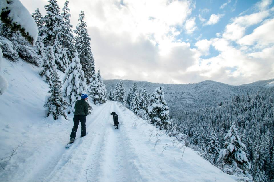 Montana Winters Aren't for Wimps