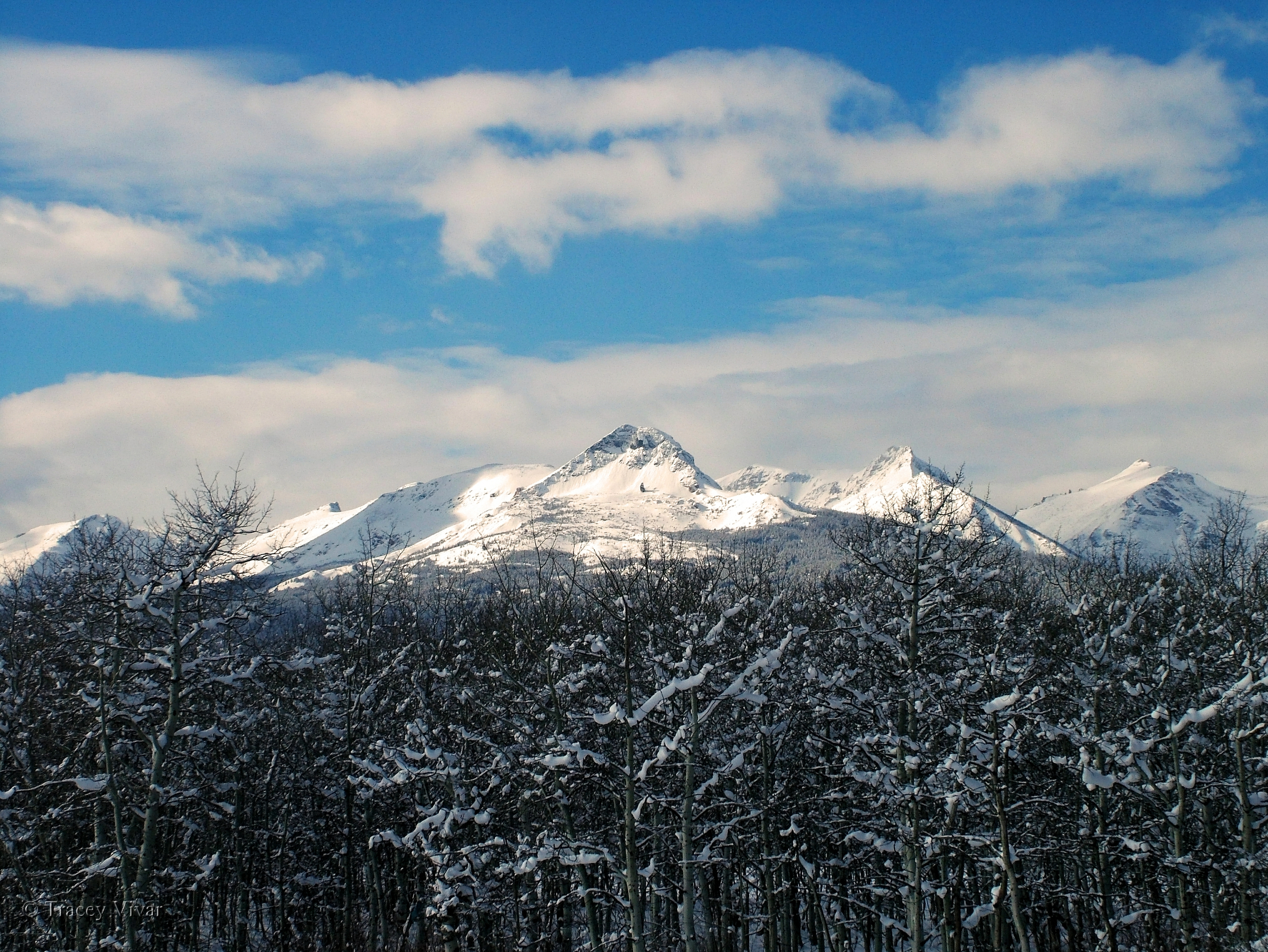 Winter Road Trips and Scenic Drives in Western Montana