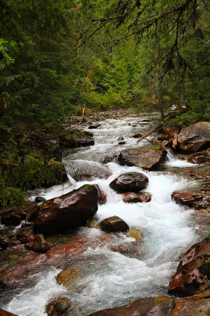 Water Safety in Western Montana