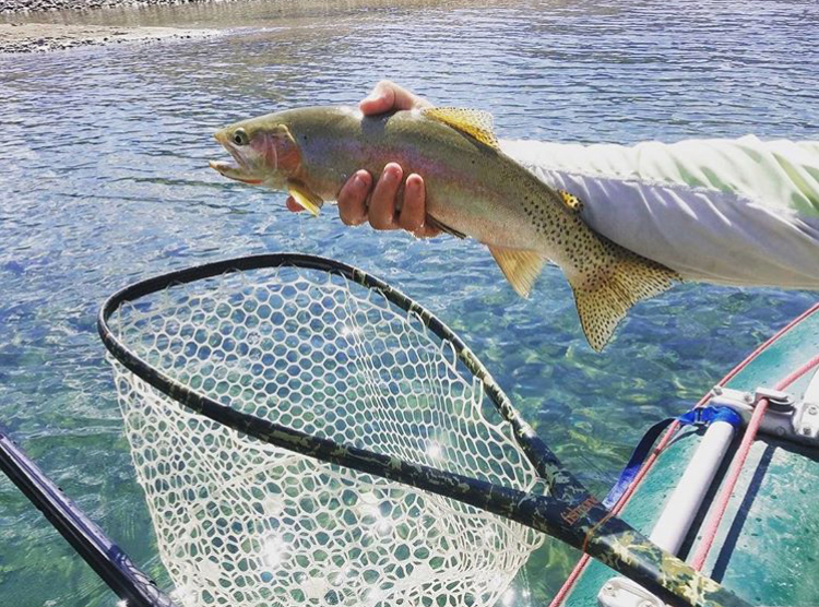 What to Use? Trout Fishing Suggestions for Montana Lakes