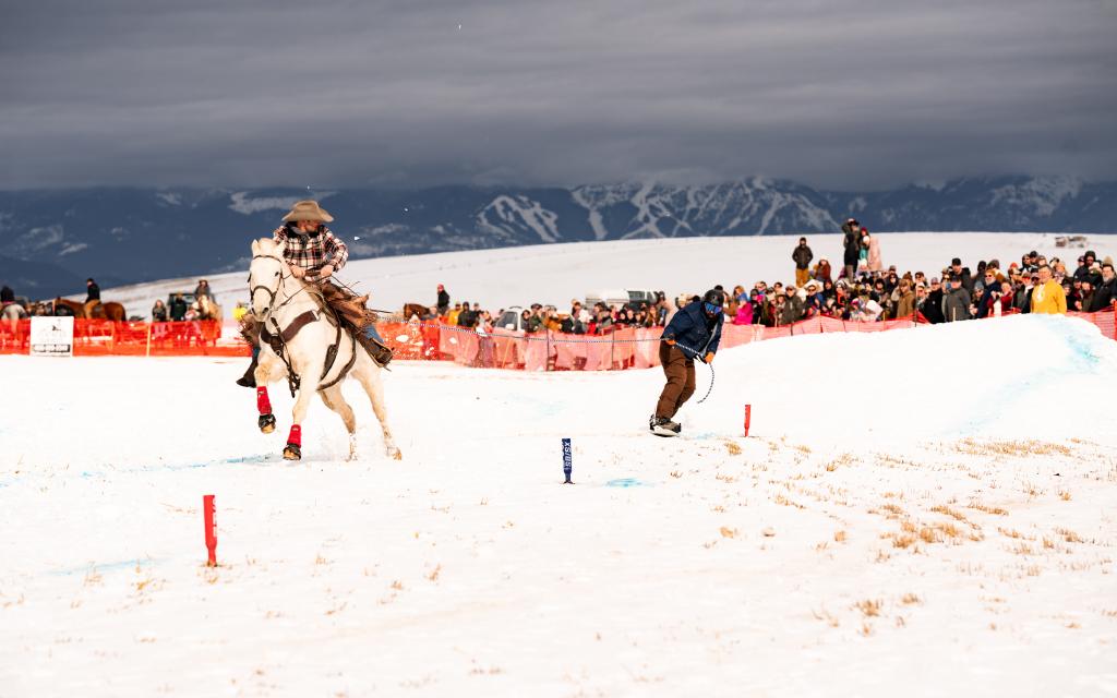 Skijoring in Glacier Country
