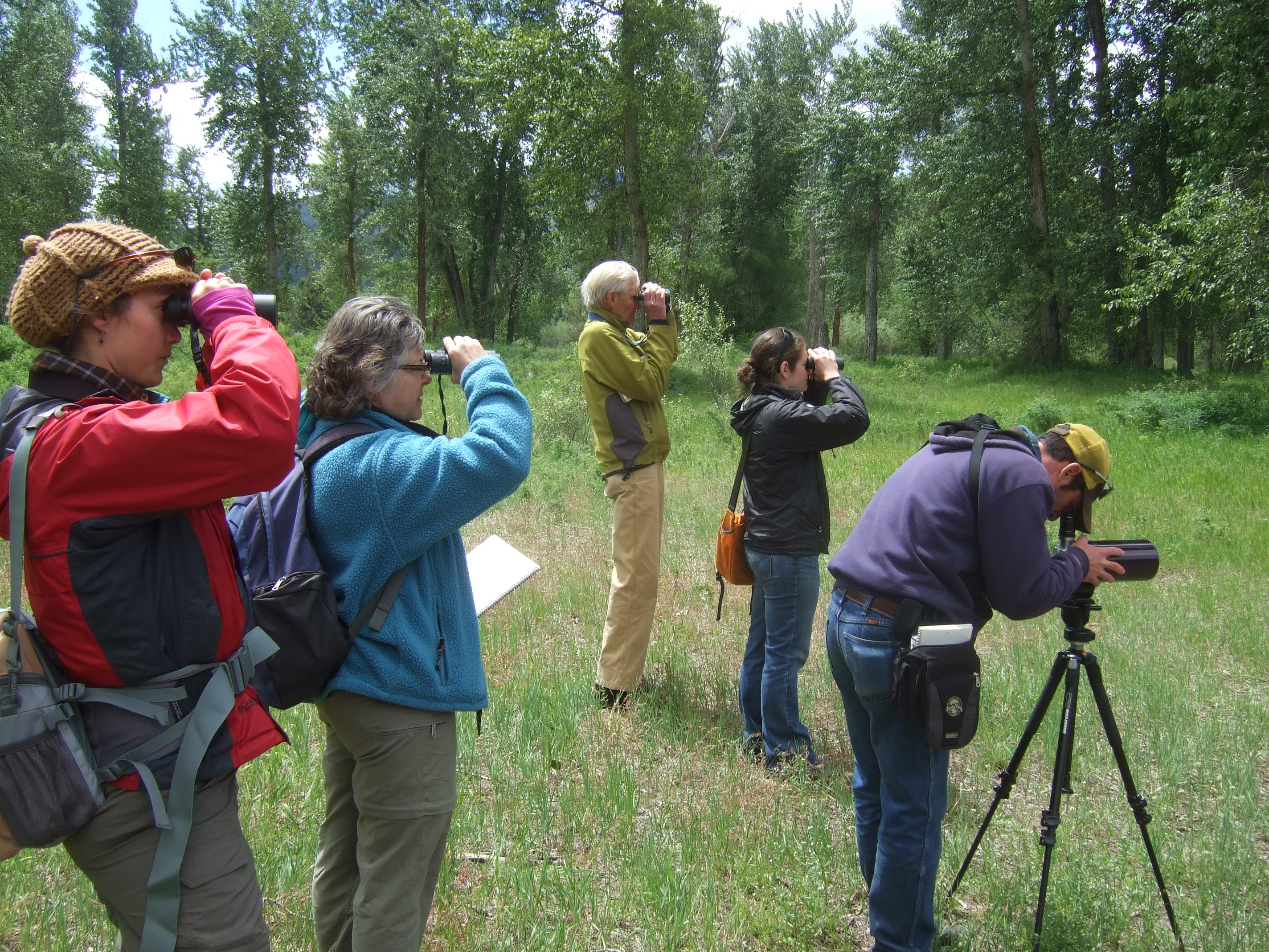 montana birding tours