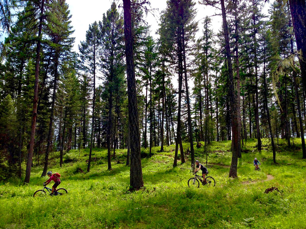 Whitefish mountain best sale resort mountain biking