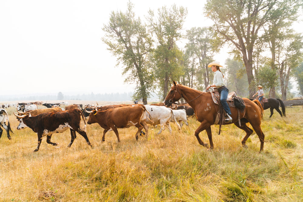 Western Montana Wild West Adventures Part 2