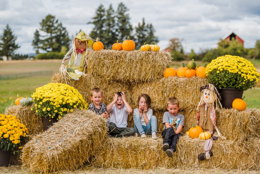 Fall Fun, Frights and Flavors in Western Montana