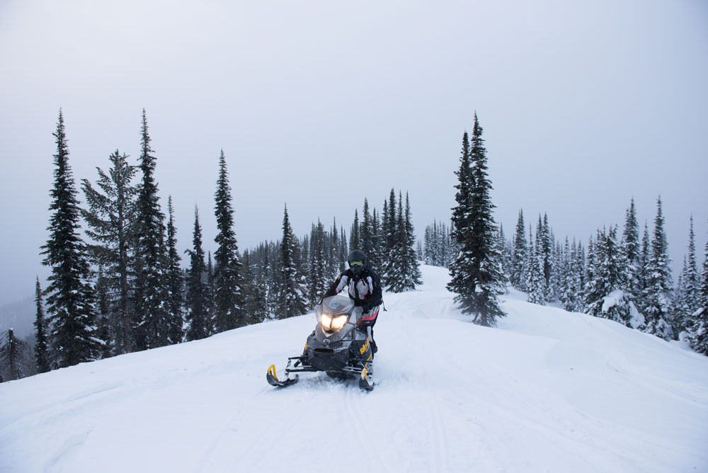 Snowmobiler riding through a foggy forest trail in a snowy landscape.