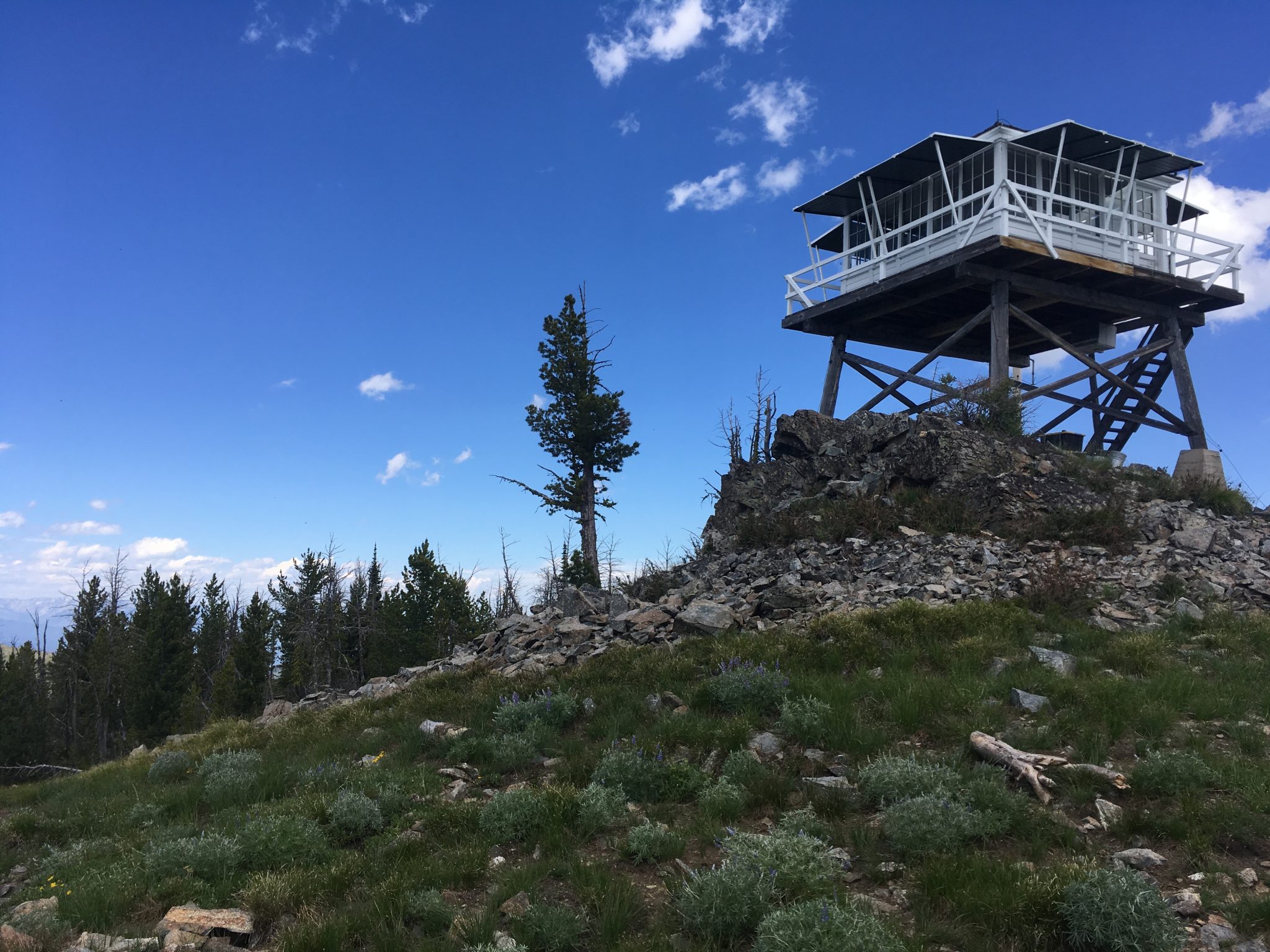 Bird’s Eye View: Stay in a Lookout Tower in Western Montana | The ...