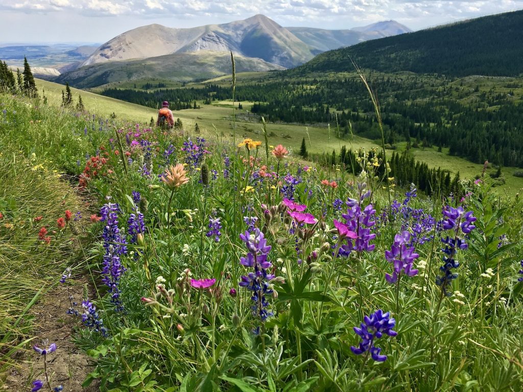 How to Hike the Top of the Chinese Wall in the Bob Marshall Wilderness -  Two Fish Traveling