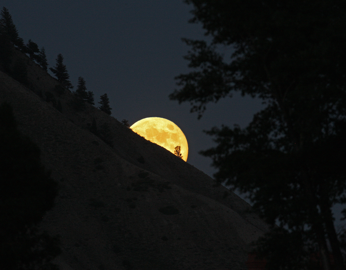 Blue Moon Over Montana: Get That Glacier Country Glow