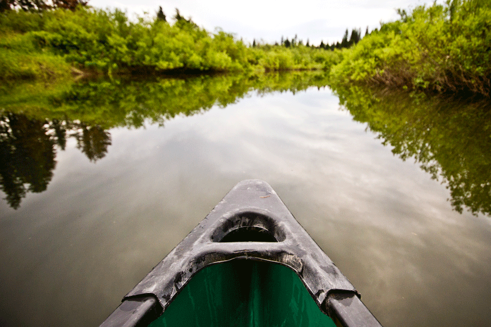 10 Unique Glacier Country Experiences