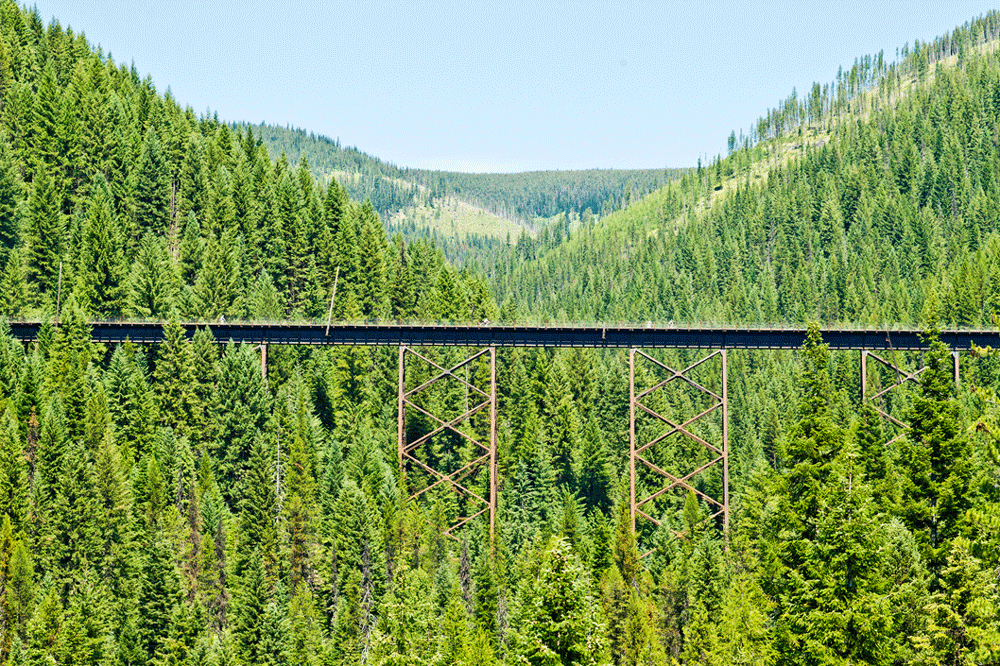 Accessible Recreation in Glacier Country