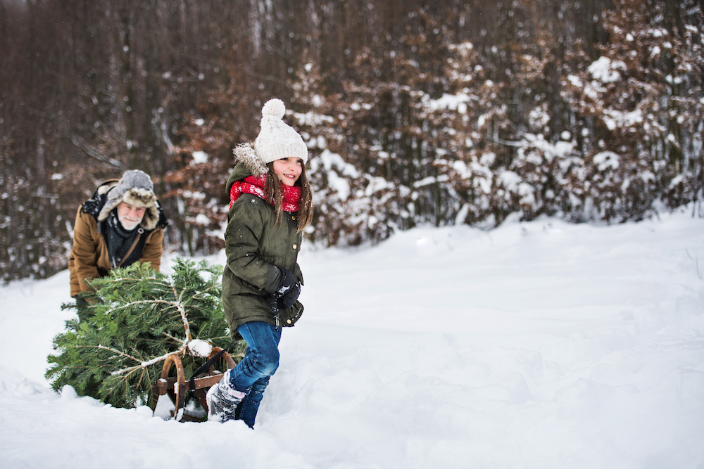 Christmas Trees in Western Montana | The Official Western Montana ...