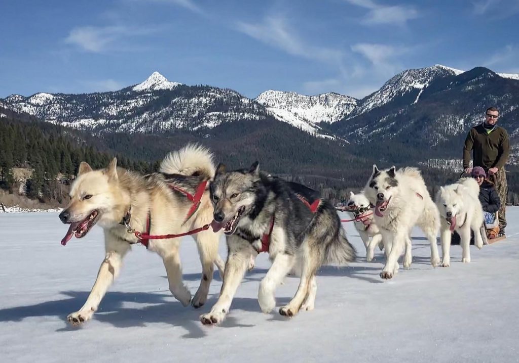 flathead travel kalispell montana