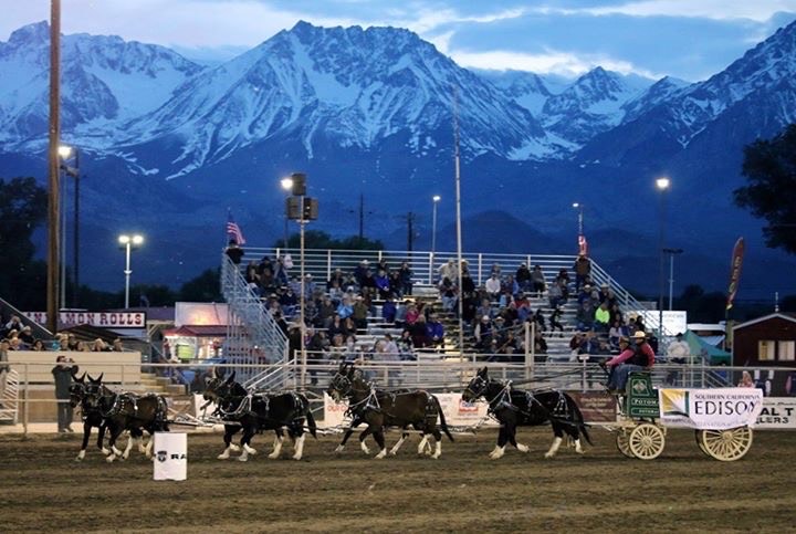 Spring 2022 Events in Western Montana