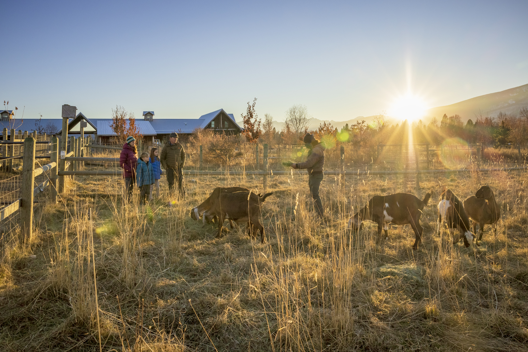 Agritourism and Farm Stays in Western Montana