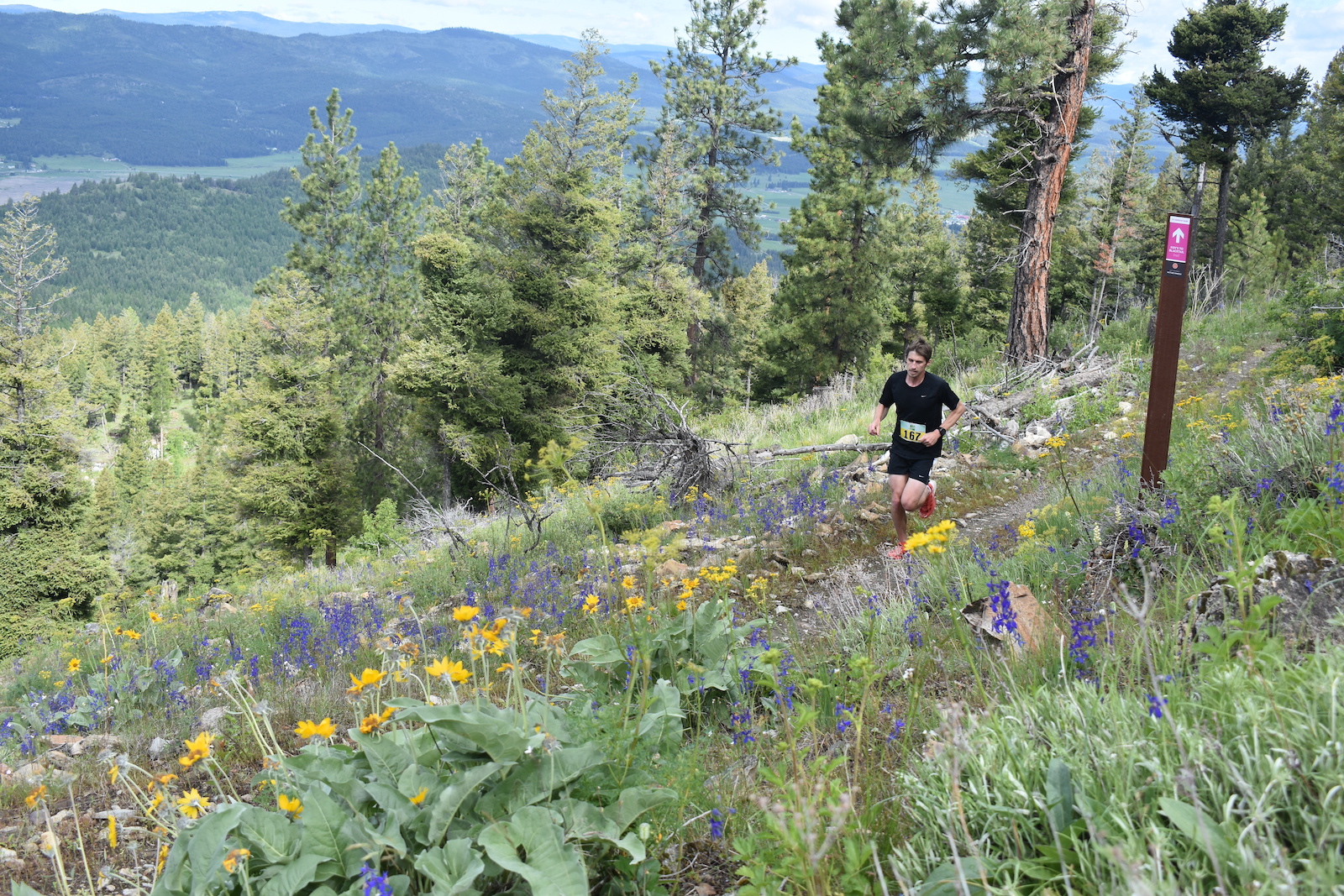 Road and Trail Races in Western Montana