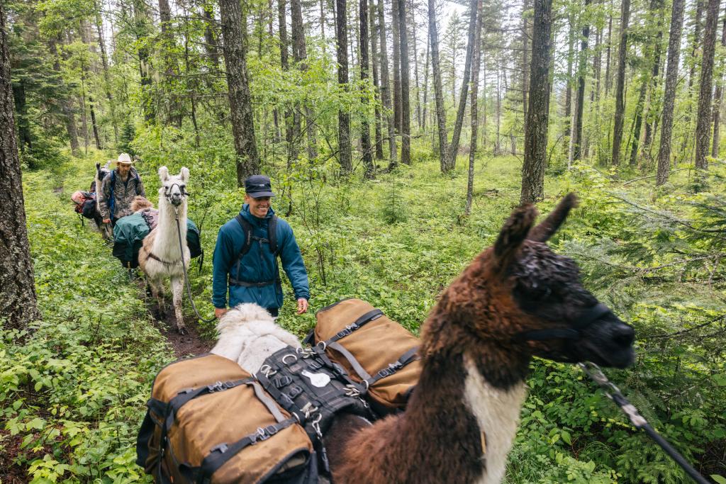 trek travel montana