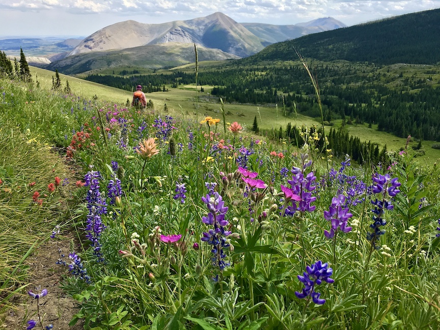 Guided Hikes and Walks in Western Montana