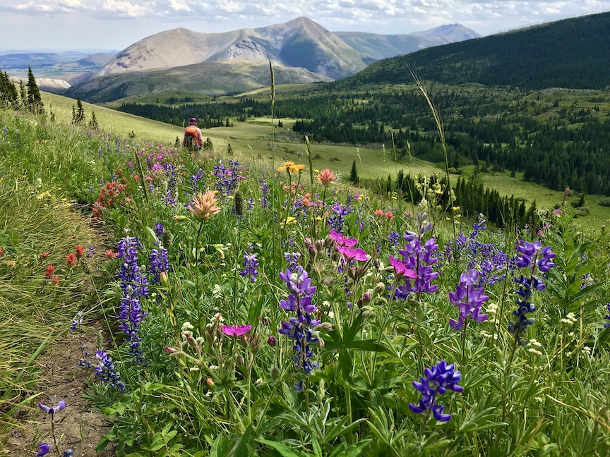 trek travel montana