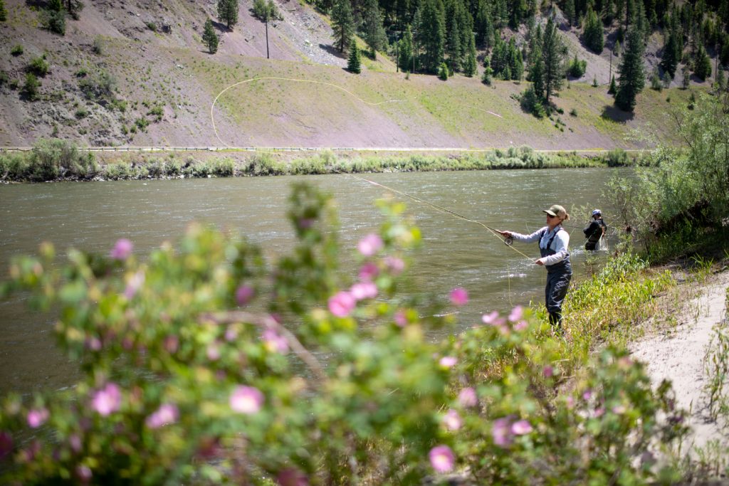 7 Tips For Fly Fishing The Golden Stone Hatch in Montana
