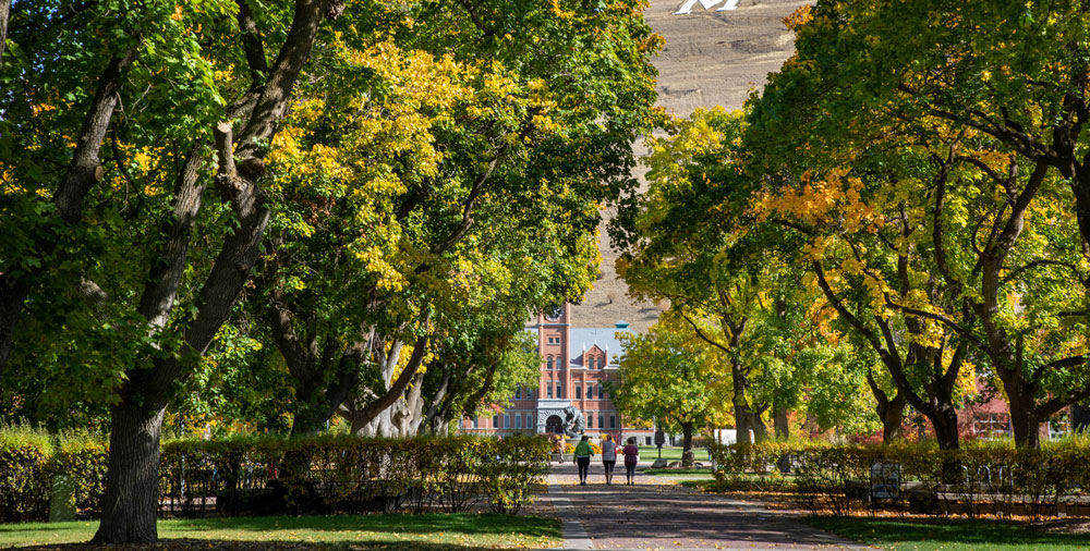 Autumn landscape with yellow trees at the riverside Weekender Tote