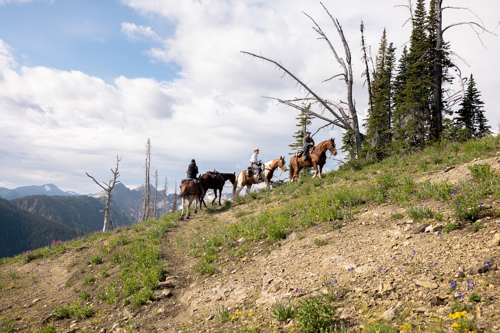 A to Z: 26 Activities to Do in Western Montana