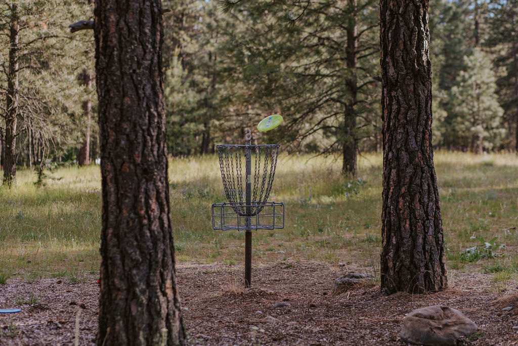 Disc Golf in Western Montana