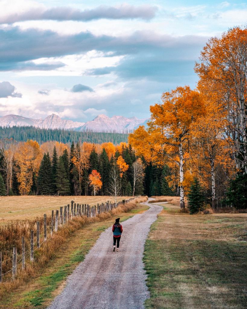 Fall Road Trips in Western Montana