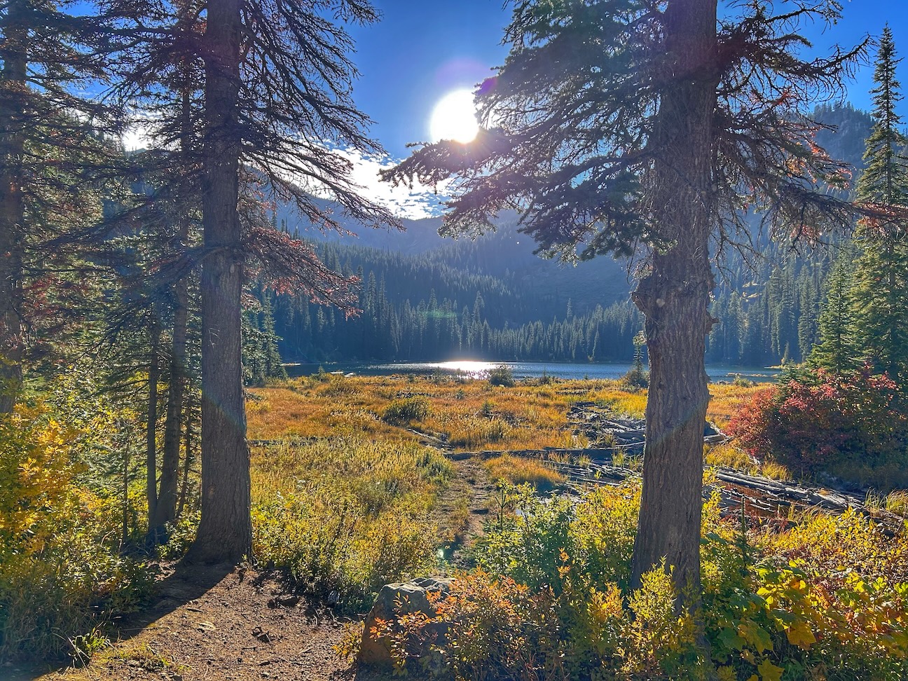 Live Out Your Montana Dream